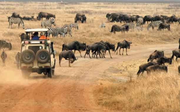 ngorongoro 1